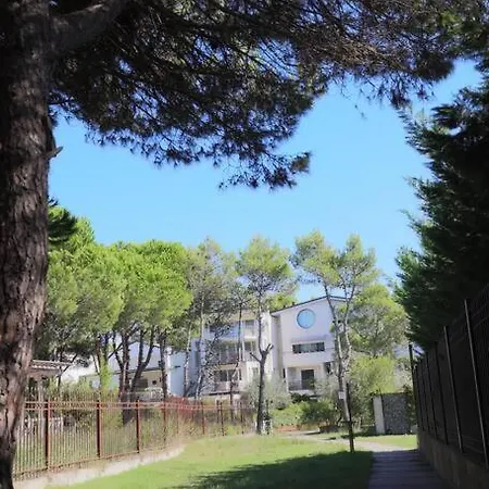 Blue Laguna Pines Retreat