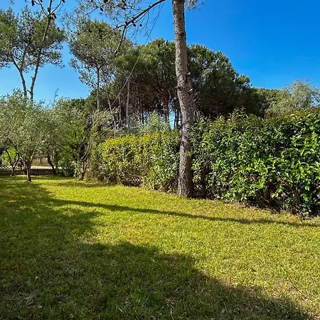 Dom wakacyjny Blue Laguna Pines Retreat