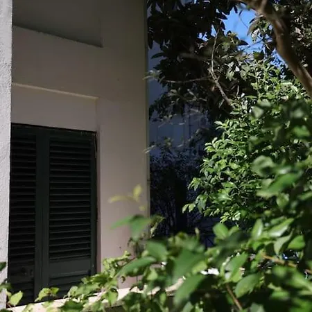 Blue Laguna Pines Retreat