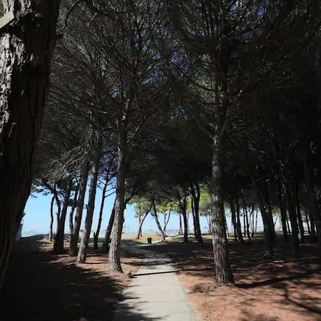Pines Paradise At Blue Laguna Golem (Tirana)