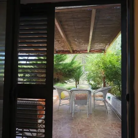 Pines Paradise At Blue Laguna Golem (Tirana)