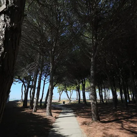 Blue Laguna Pines Retreat