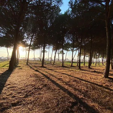 Holiday home Pines Paradise At Blue Laguna Golem (Tirana)