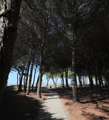 Blue Laguna Pines Retreat Golem (Tirana)