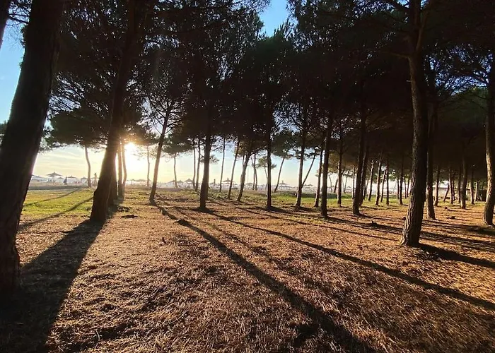度假居 Blue Laguna Pines Retreat *